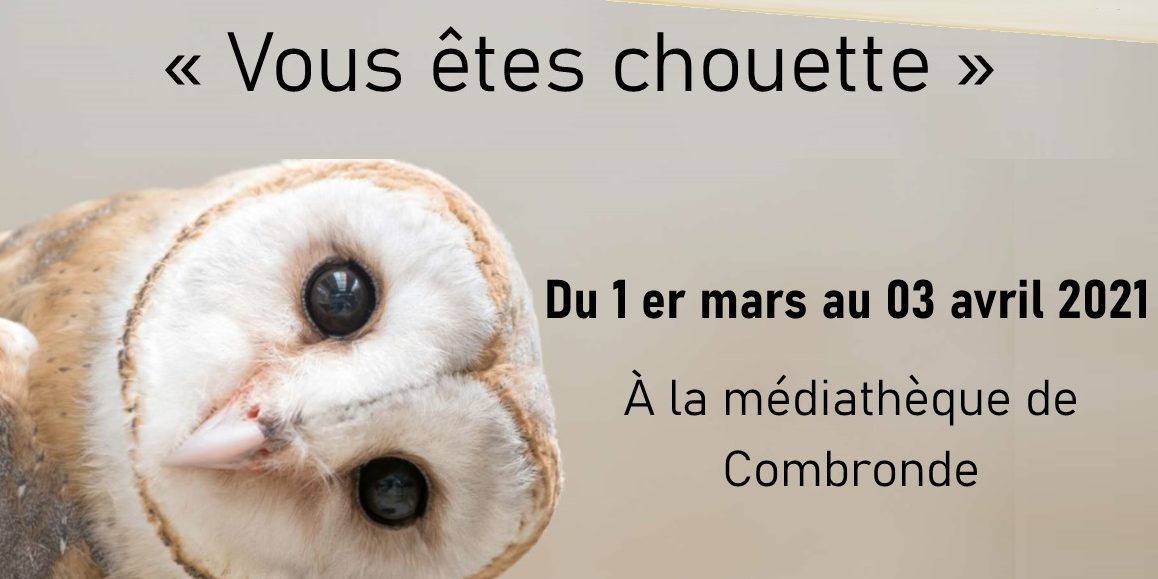 VOUS ÊTES CHOUETTE !